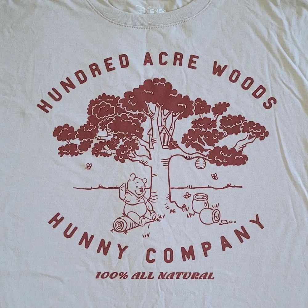 Disney's🏰 Winnie the Pooh🐻 Graphic Tee👕 - NWT - Picture 3 of 11